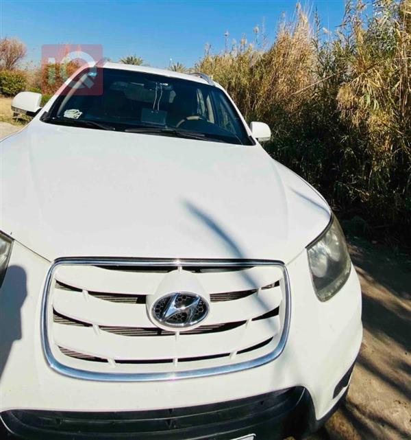 Hyundai for sale in Iraq